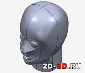 3D модель головы изображение 6