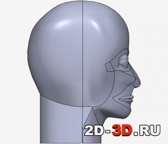 3D модель головы изображение 3
