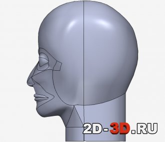 3D модель головы изображение 5