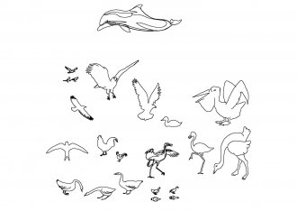 Изображения птиц блоки для AutoCAD и Компас