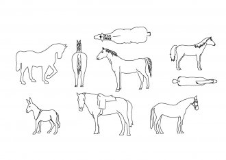 Лошади чертежи dwg формата