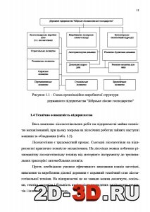 Схема організаційно-виробничої структури державного підприємства "Бібрське лісове господарство"