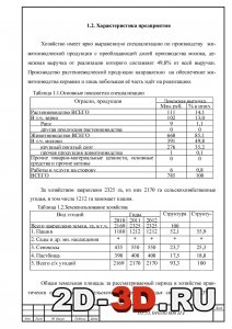 Характеристика предприятия